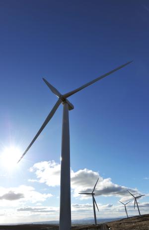 Pylon